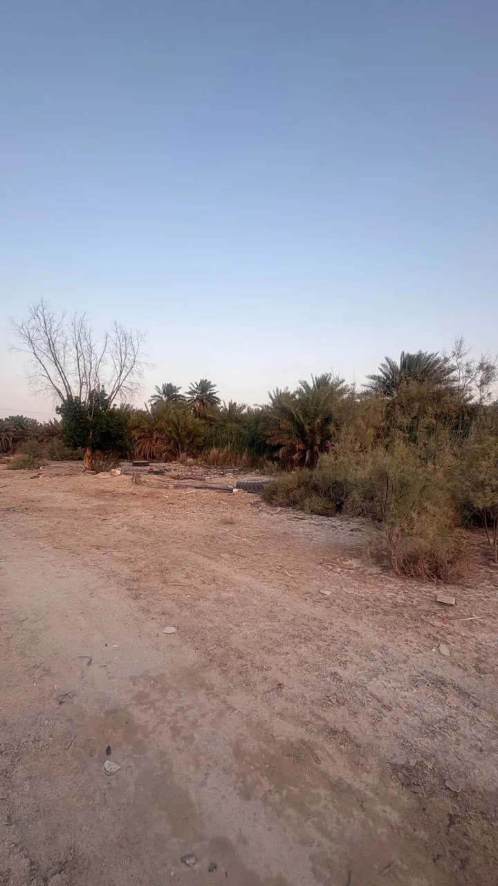 عقار