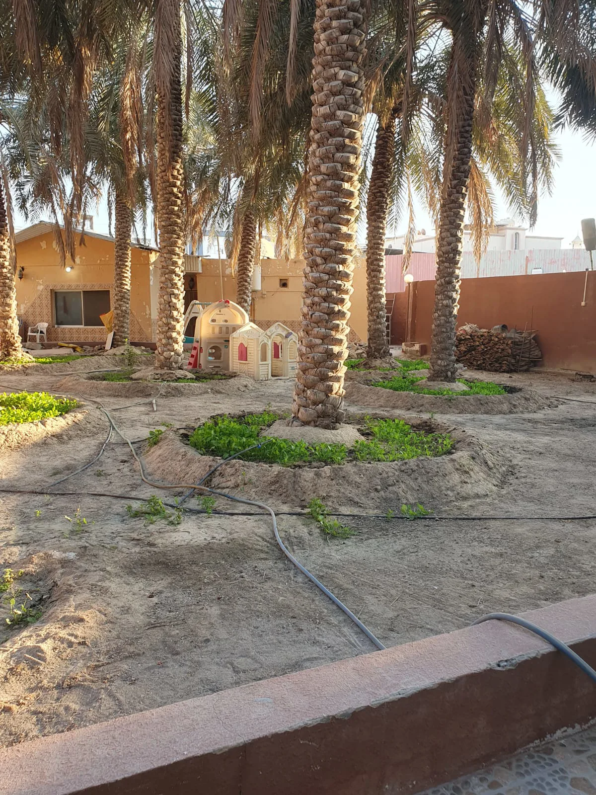 عقار