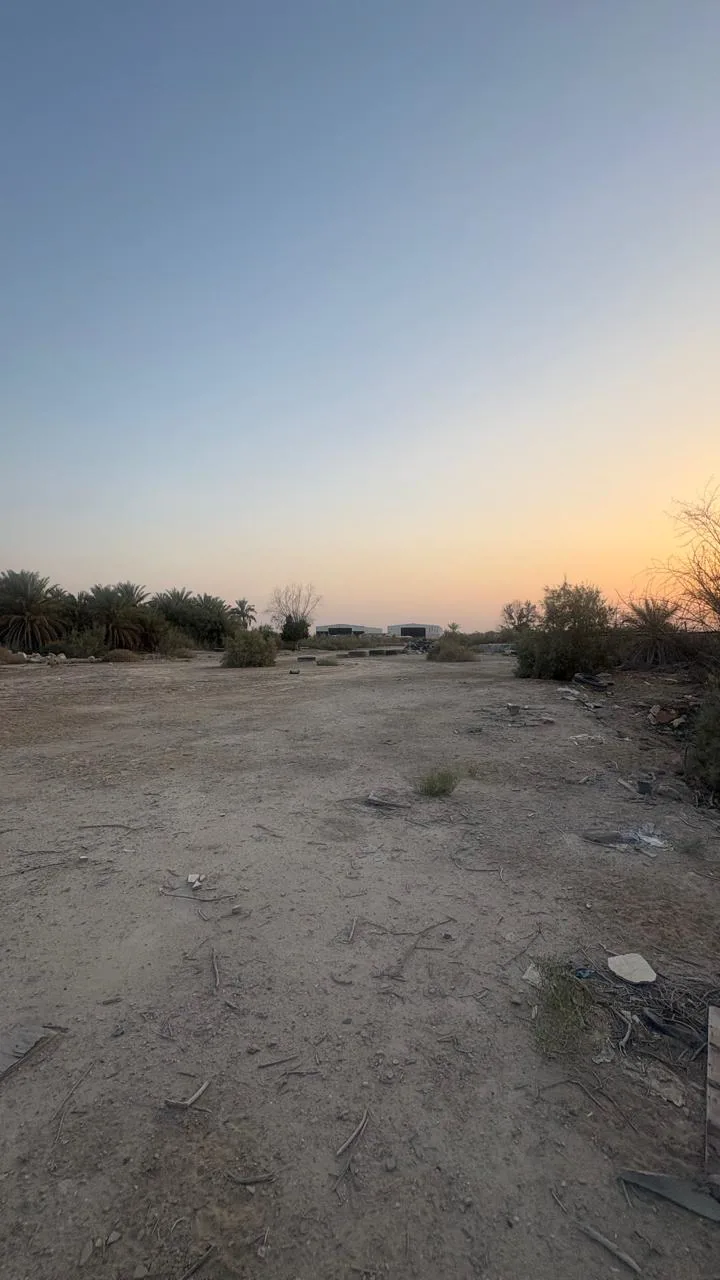 عقار