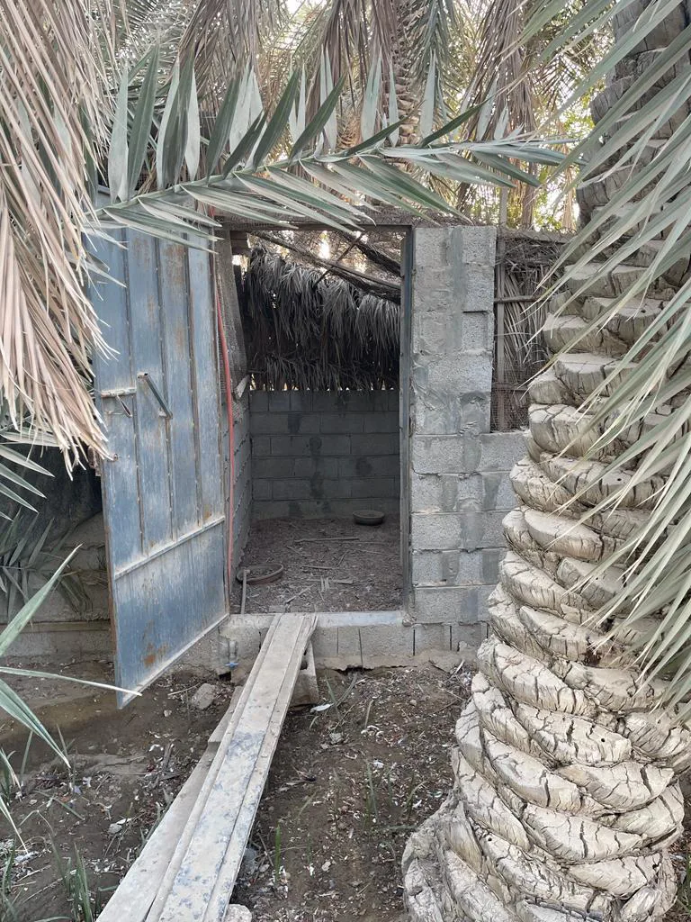 عقار