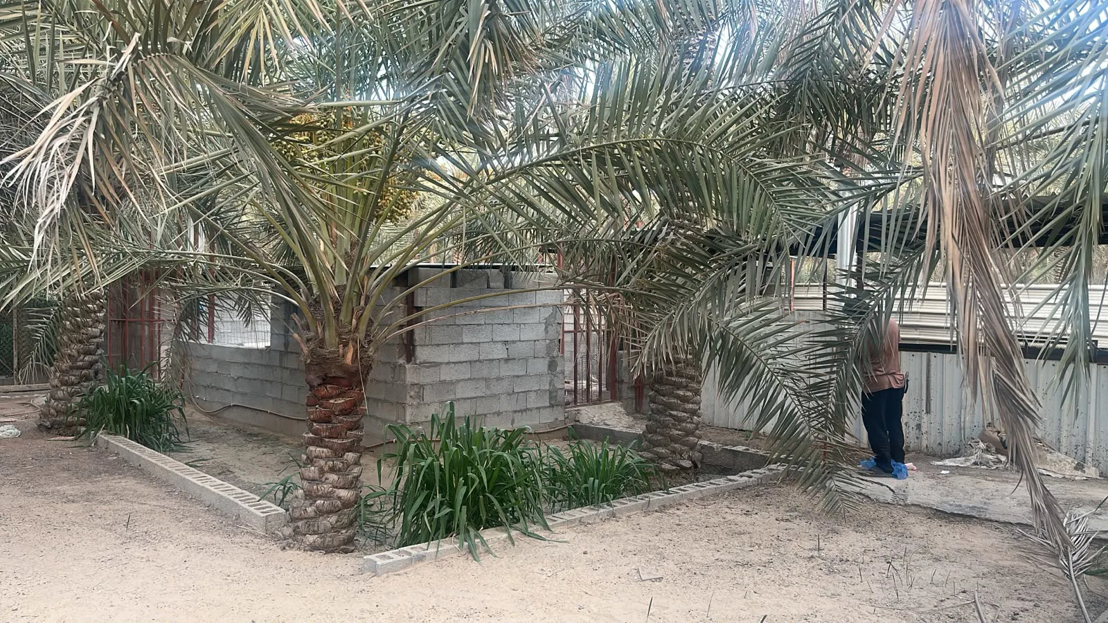 عقار