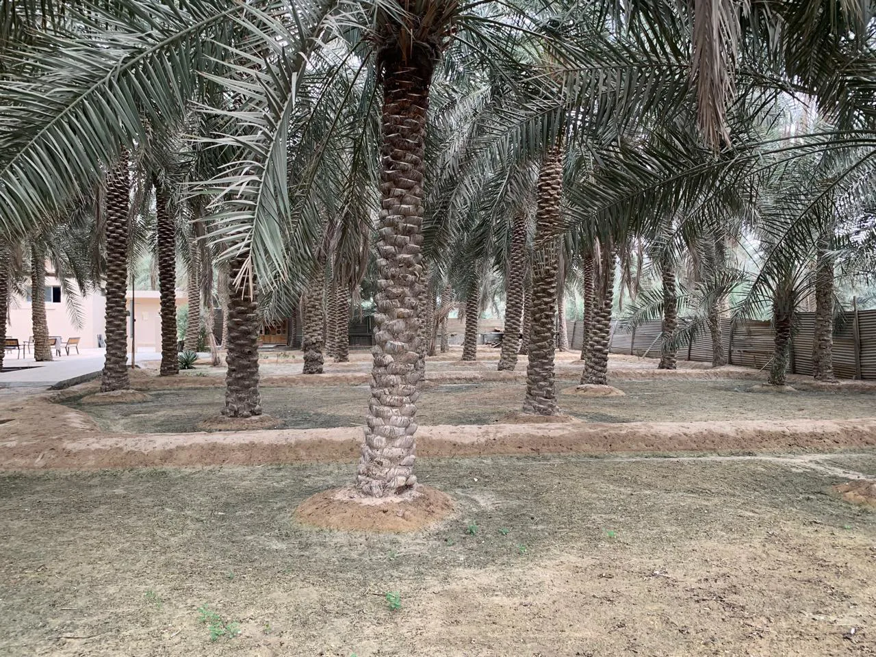 عقار
