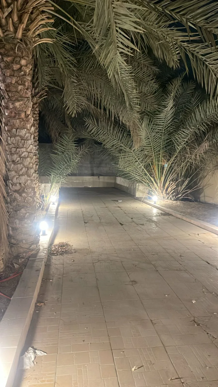 عقار