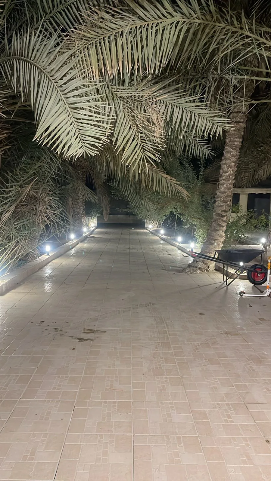 عقار