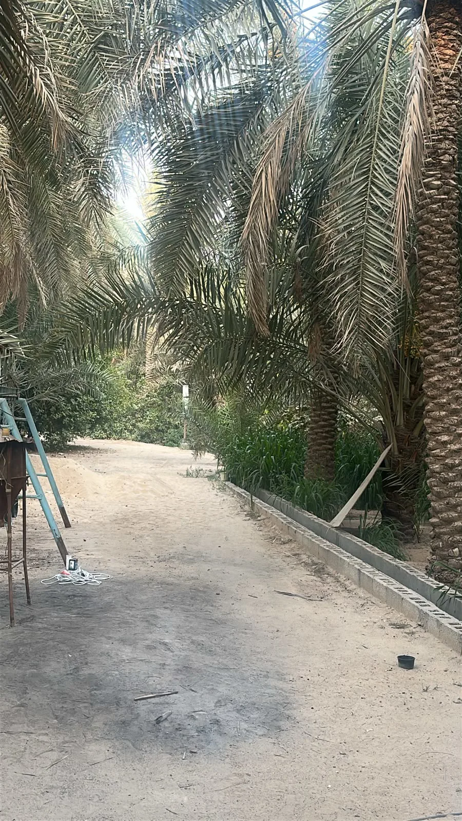 عقار
