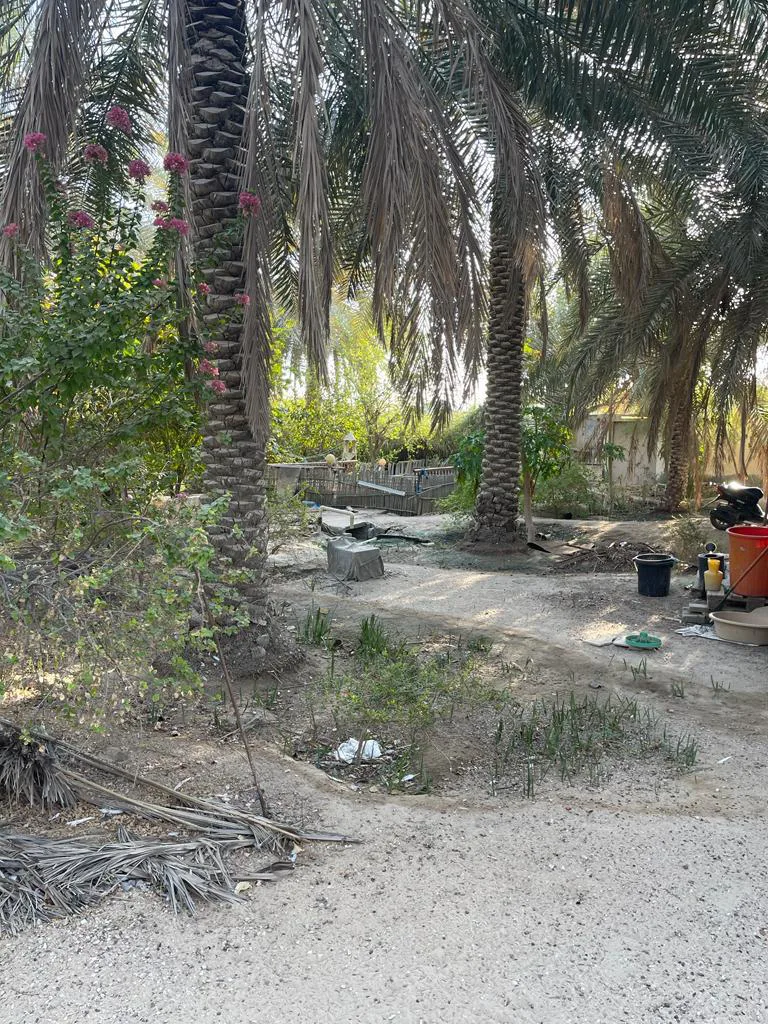 عقار