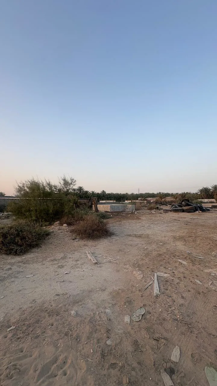 عقار