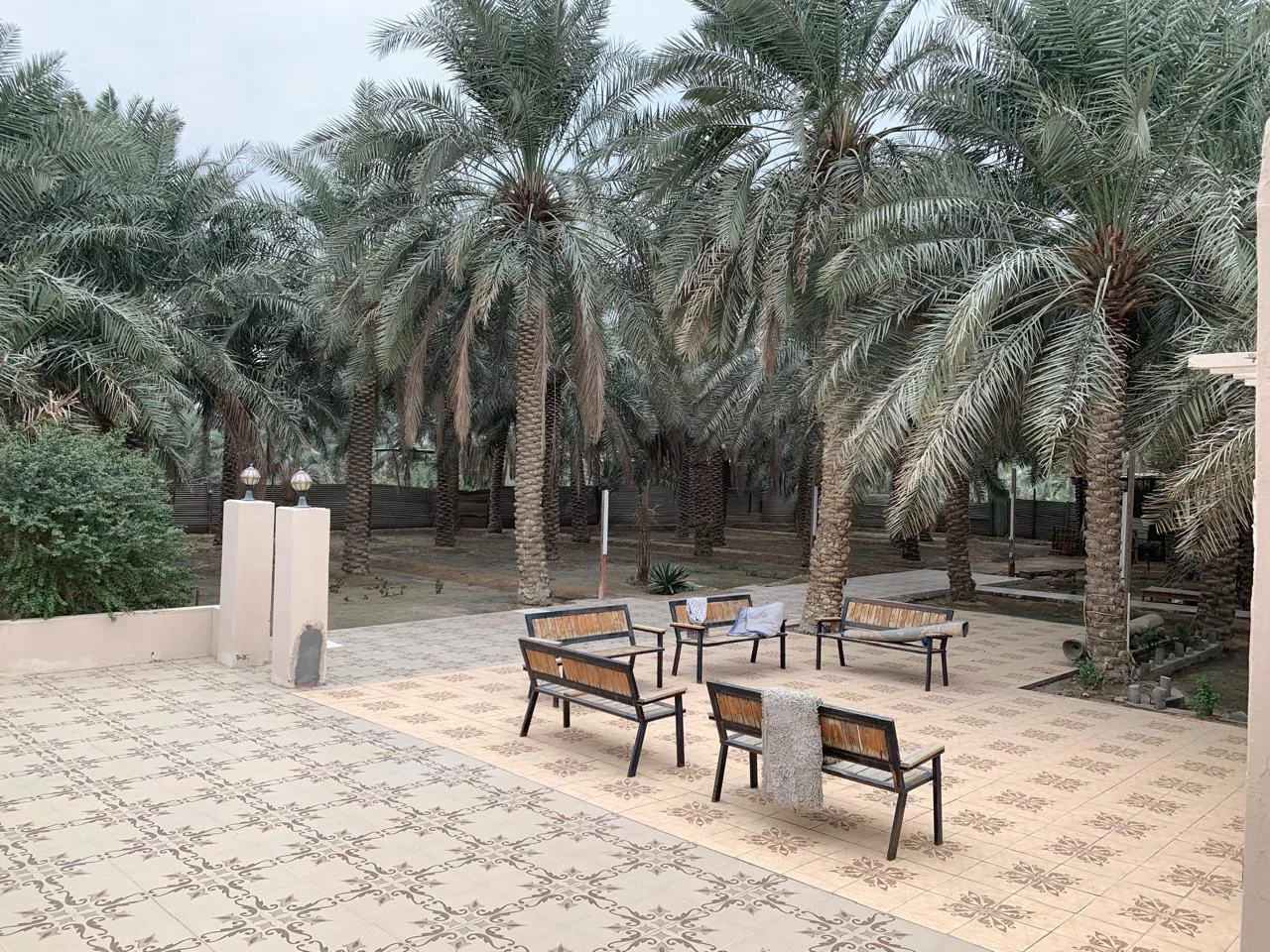 عقار