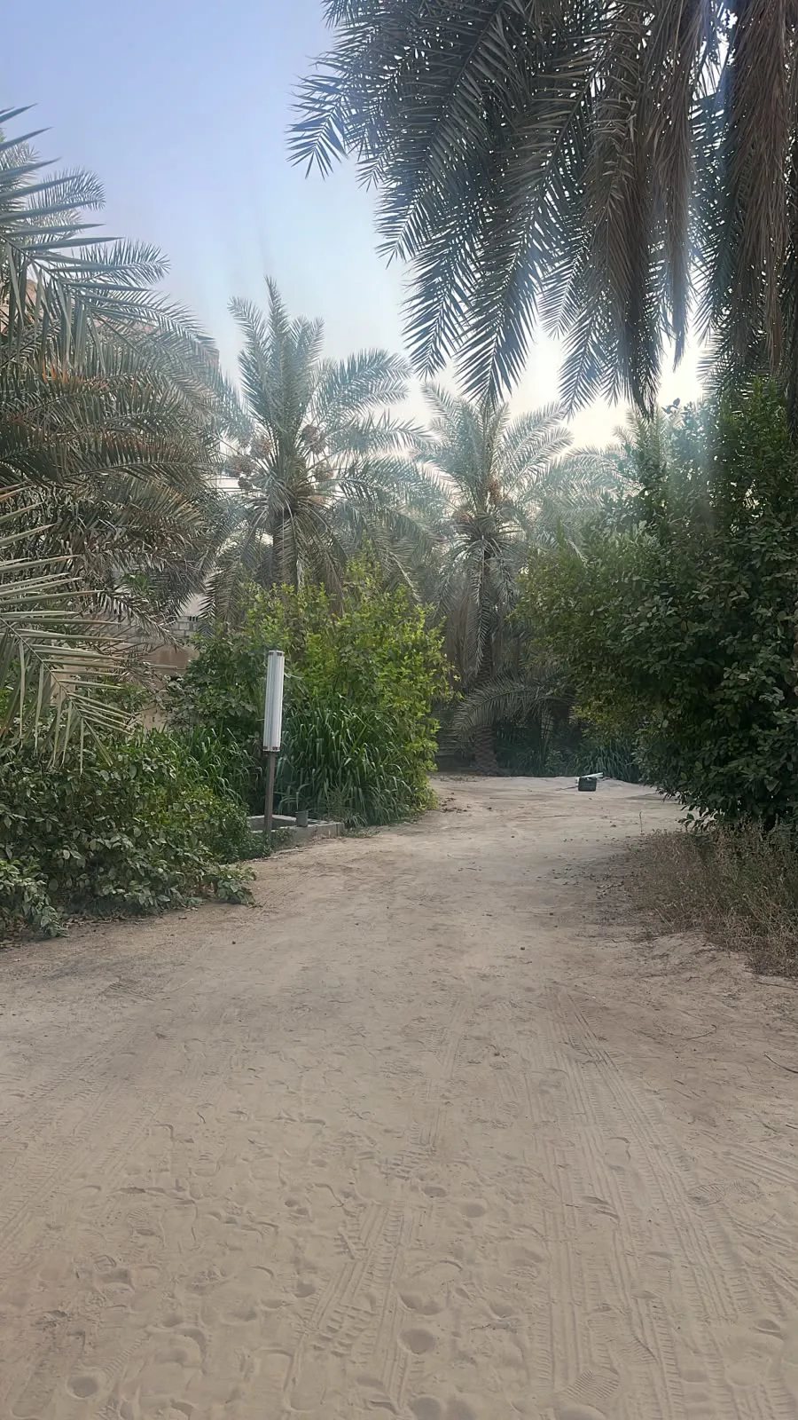 عقار