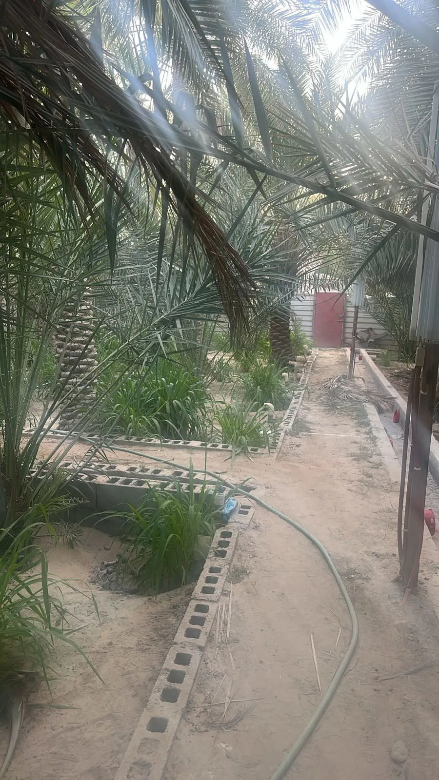 عقار