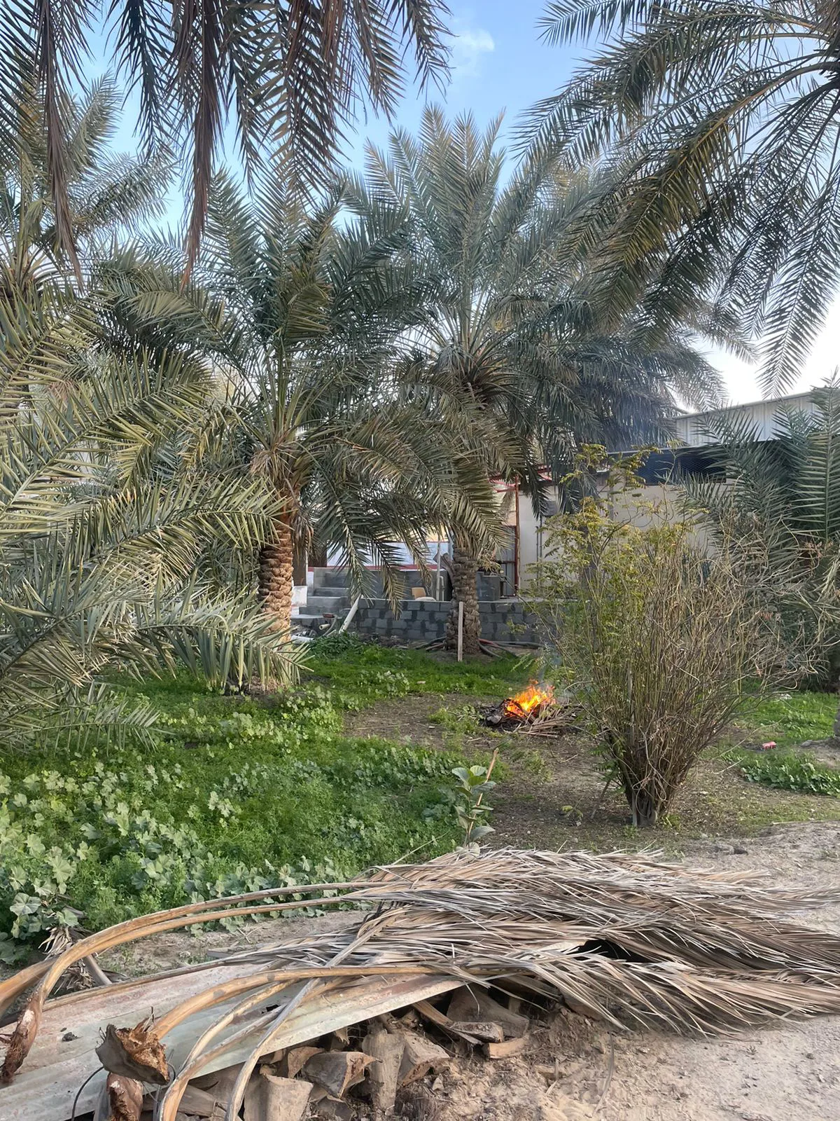 صورة إضافية للعقار