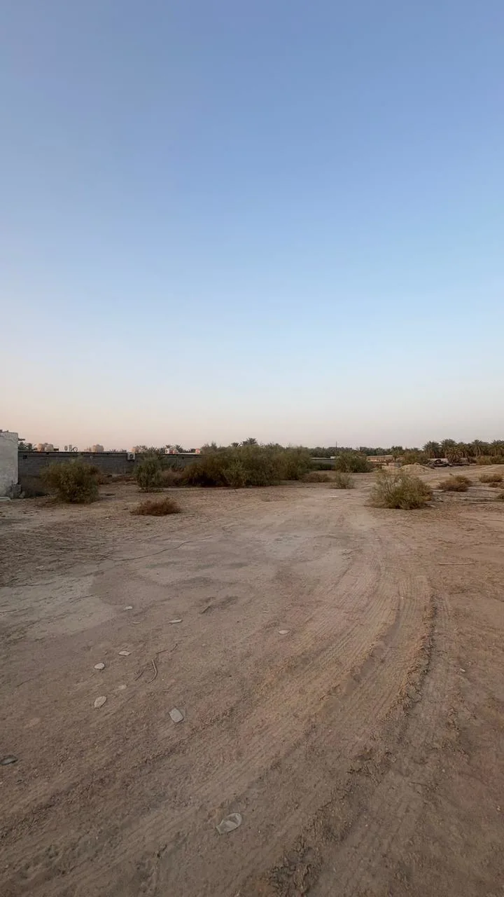 عقار