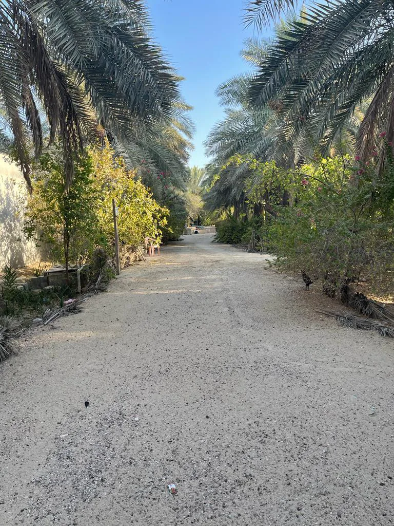 عقار