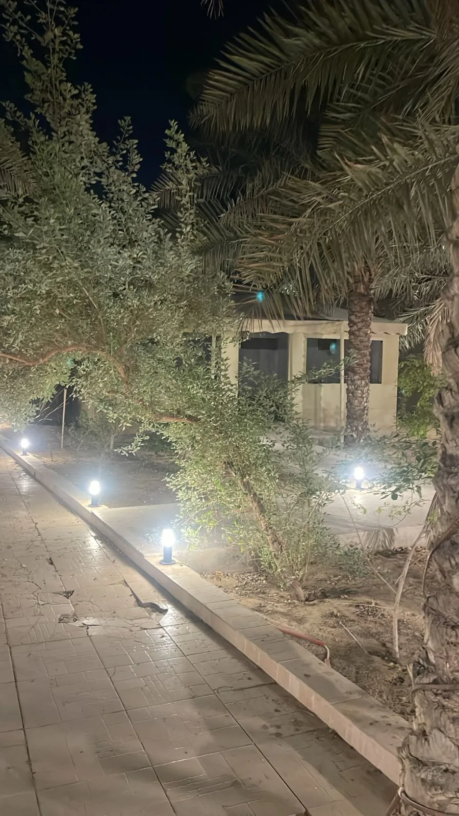 عقار