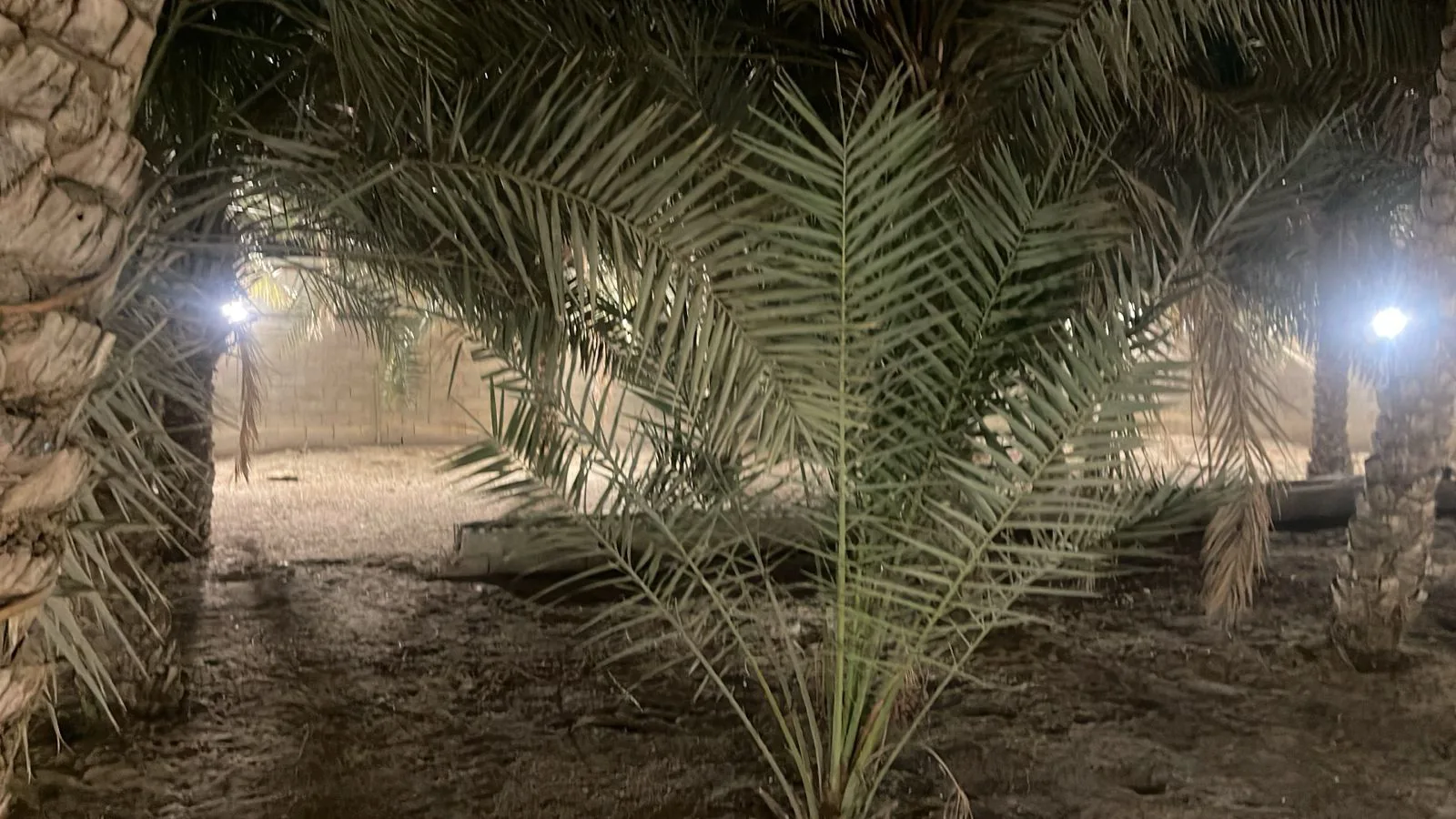 عقار