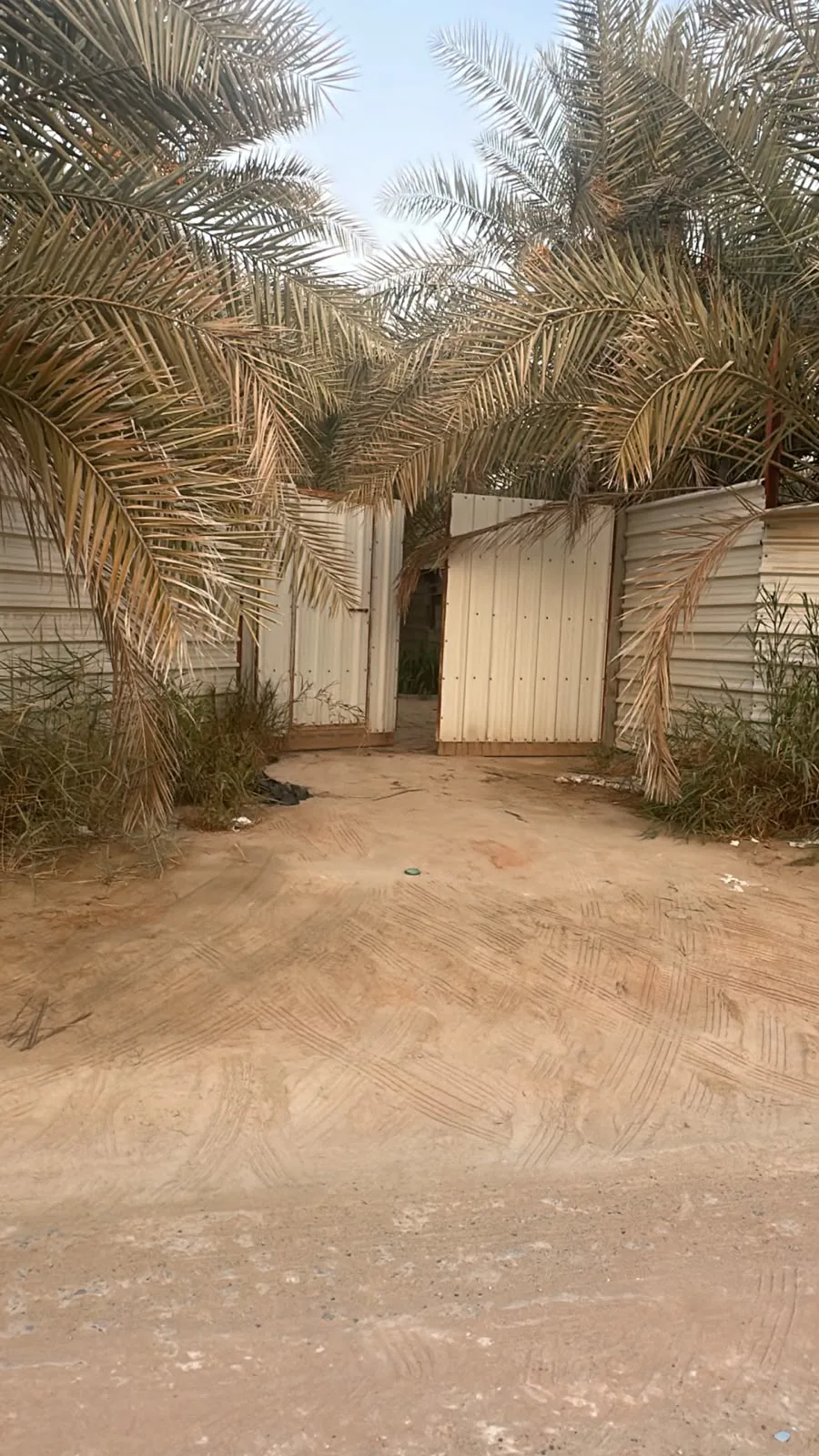 عقار