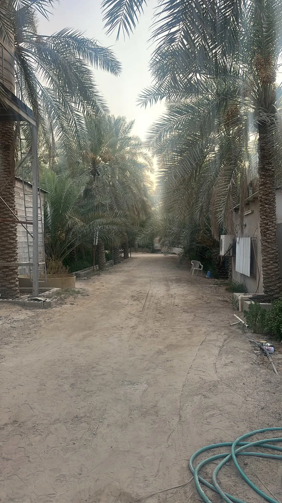 عقار