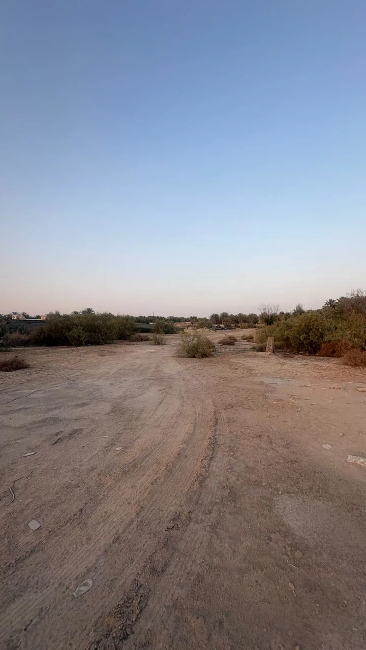 عقار