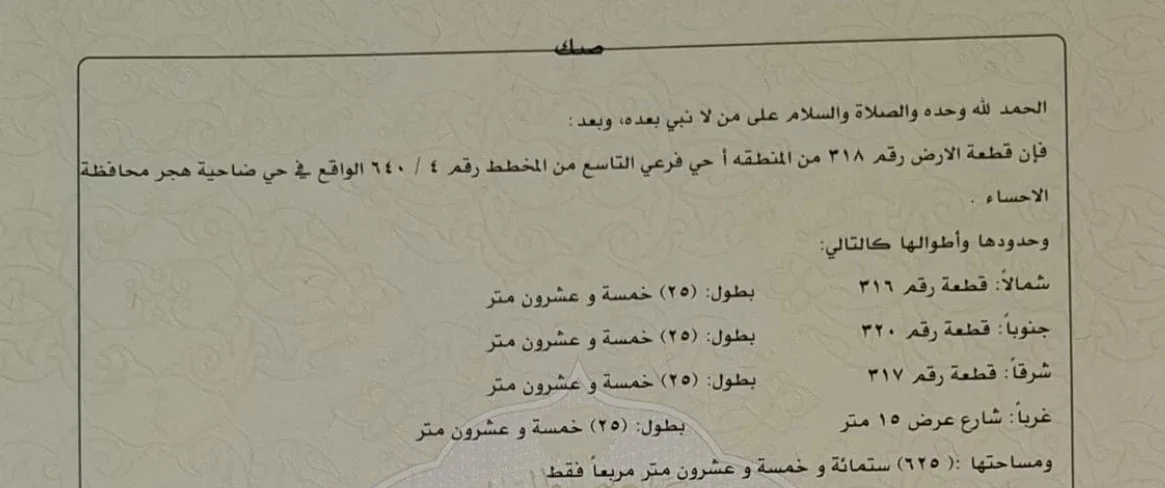 أرض سكنية للبيع في حي التاسع بضاحية هجر | 625 م² | رقم الأرض 318/أ، صورة إضافية