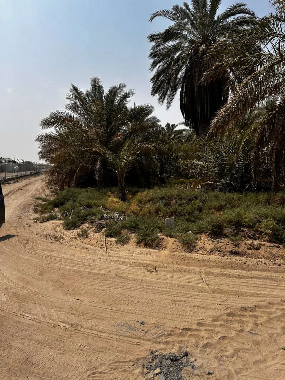 عقار