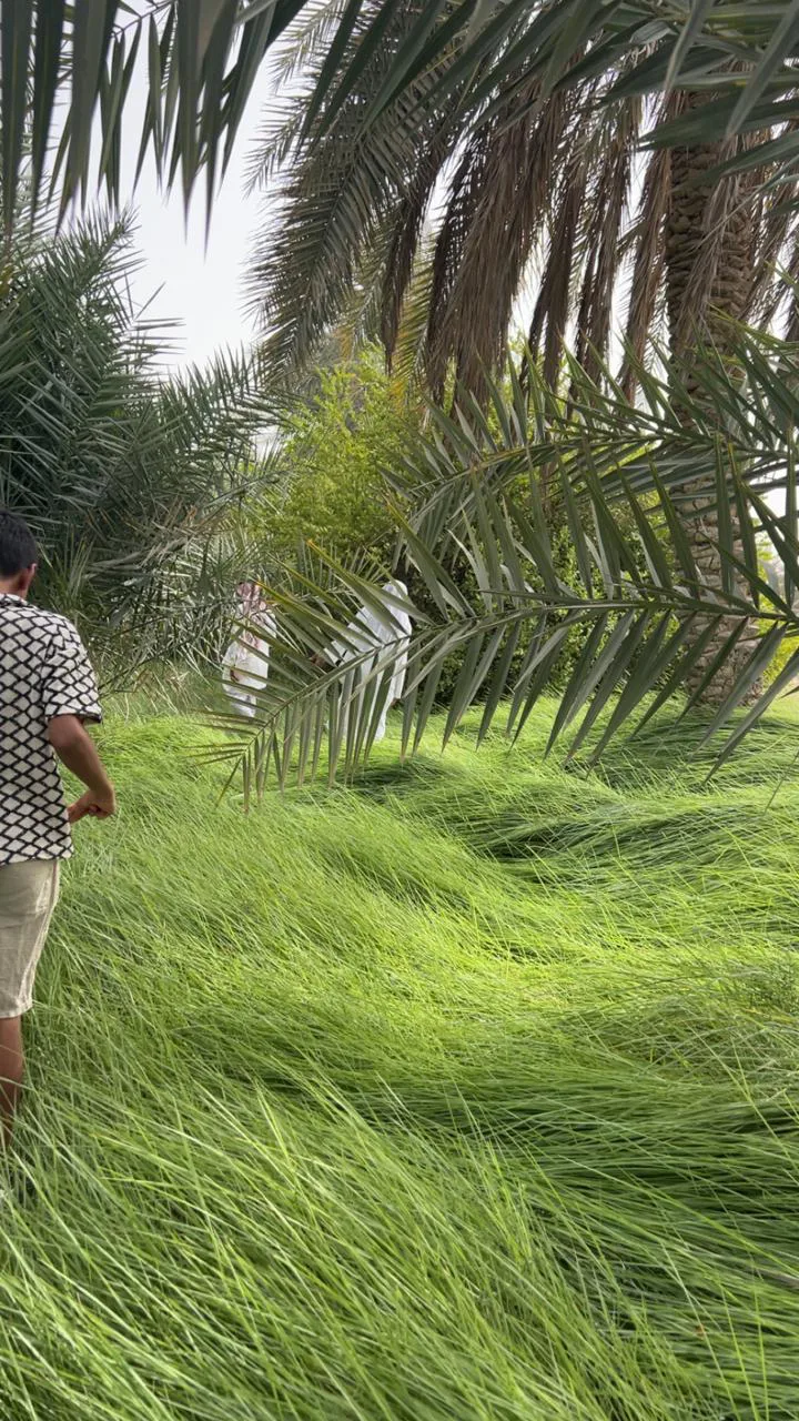 عقار