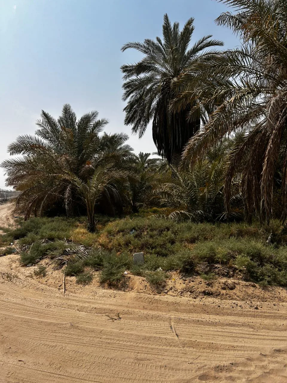 عقار